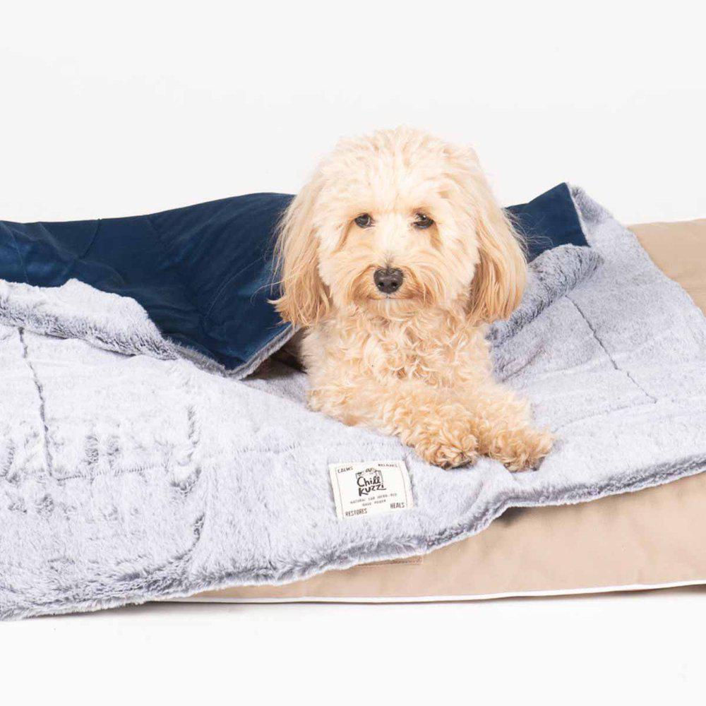 Dog Gone Smart Chill Kuzzi Blanket Slate Blue