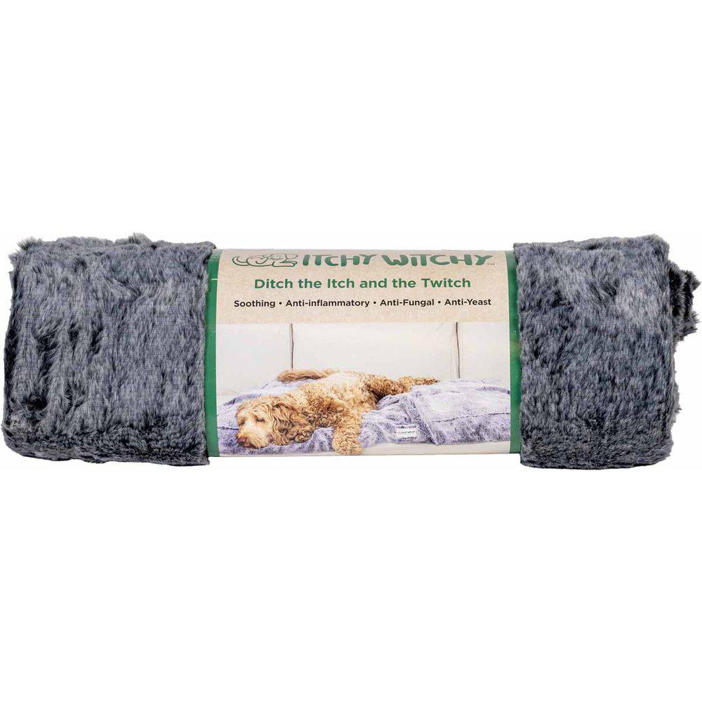 Dog Gone Smart Ichy Witchy Blanket Black