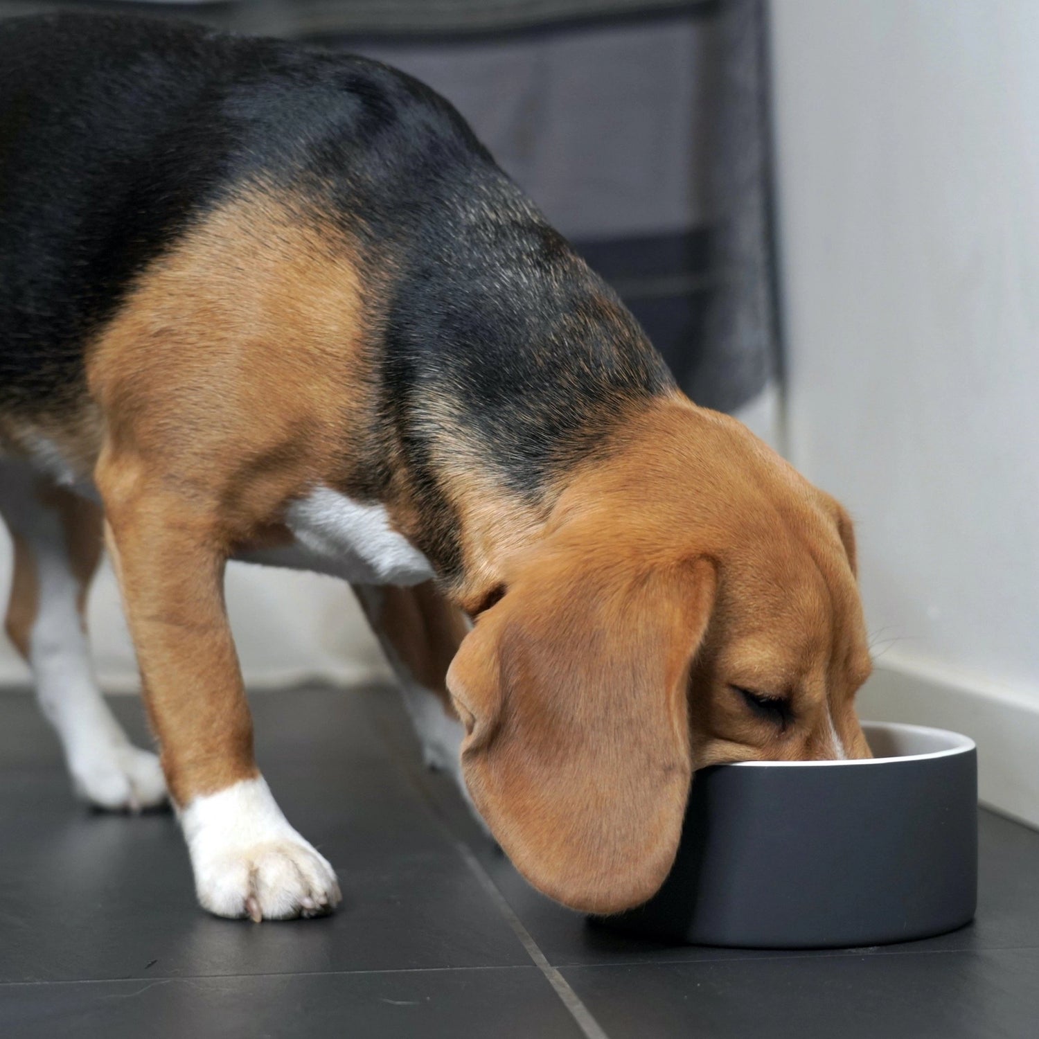 Paikka Slow Feed Bowl Matskål