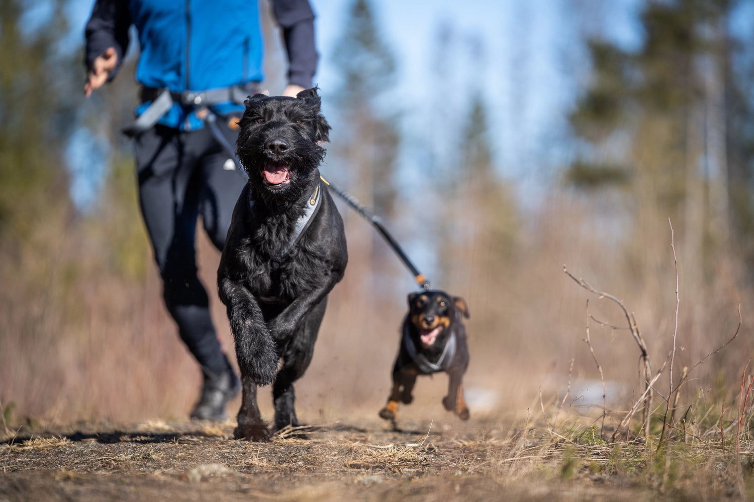 Seleverkstedet Draglina Rush Joring