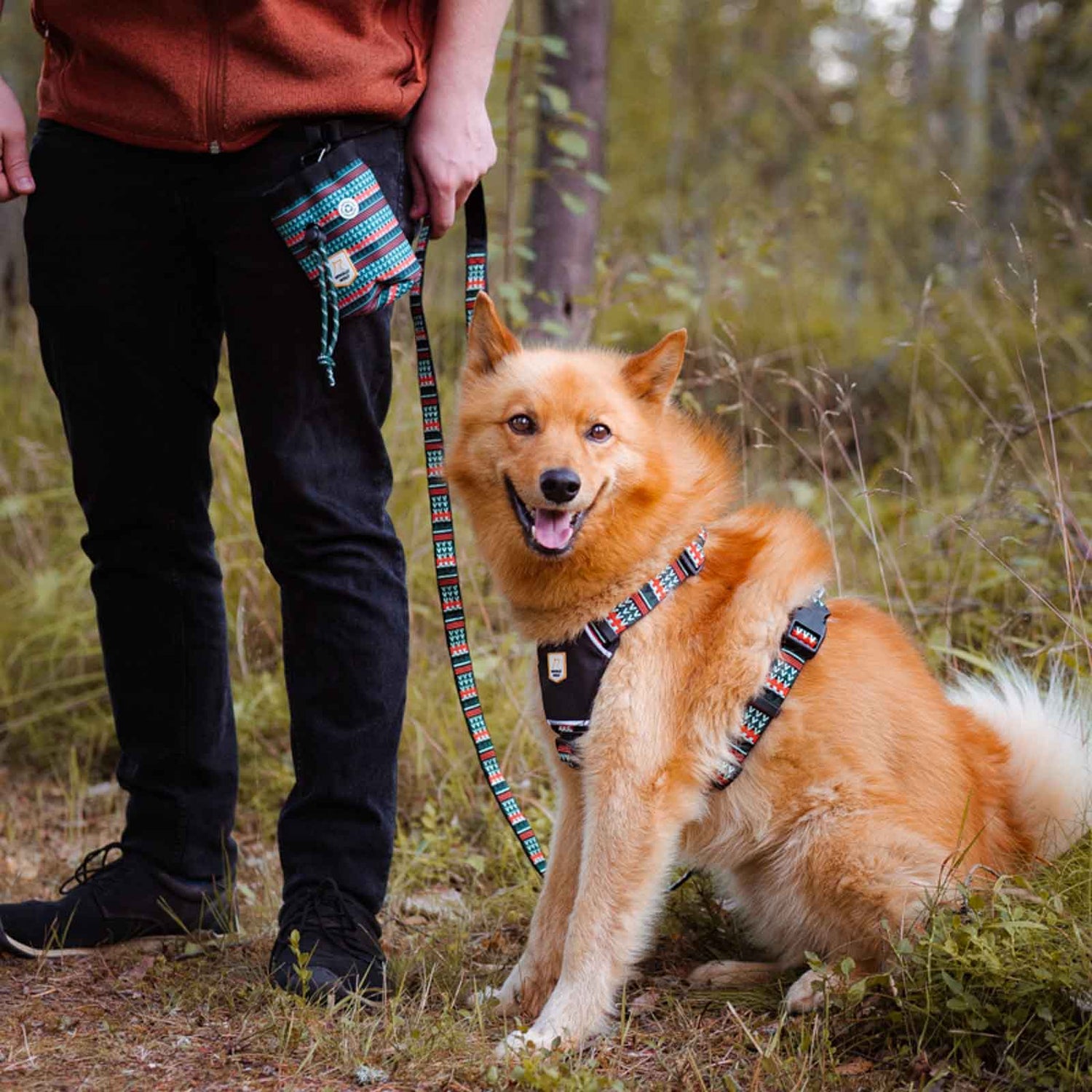 Woolly Wolf – Godisväska