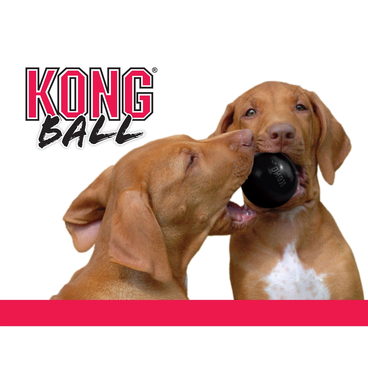 Kong Leksak Ball Extreme