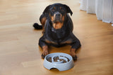 Dogman Alva Slow Feed Matskål