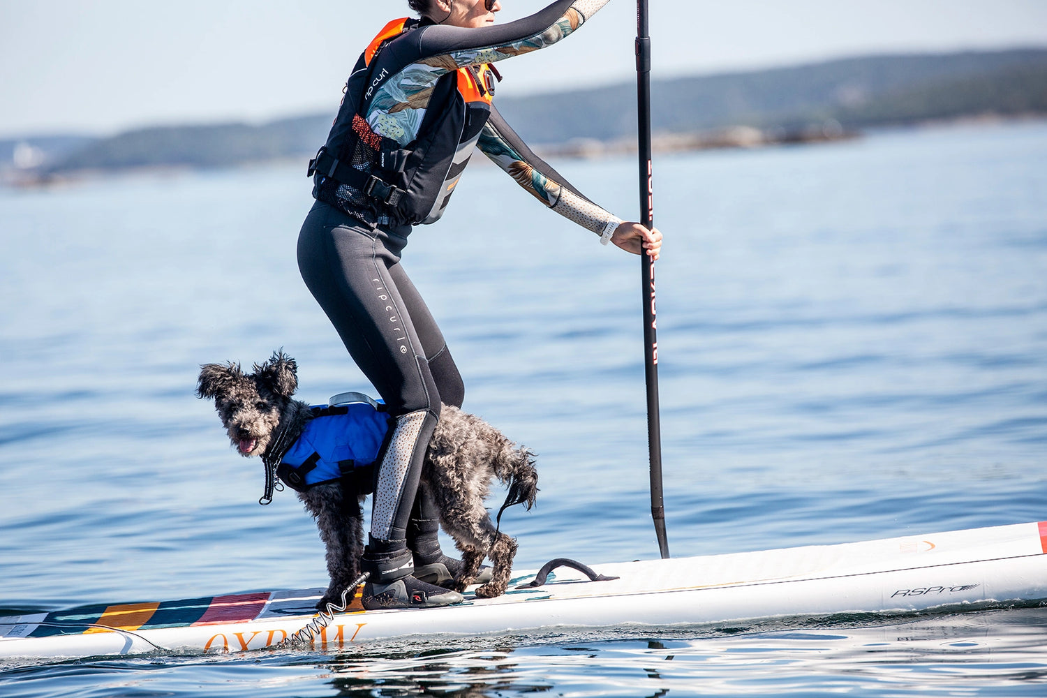 Baltic Splash Hundflytväst