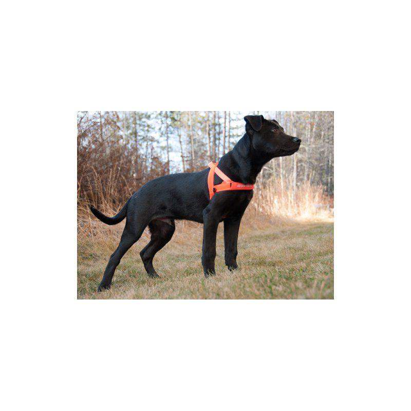 Ezydog Sele Quickfit Neopren