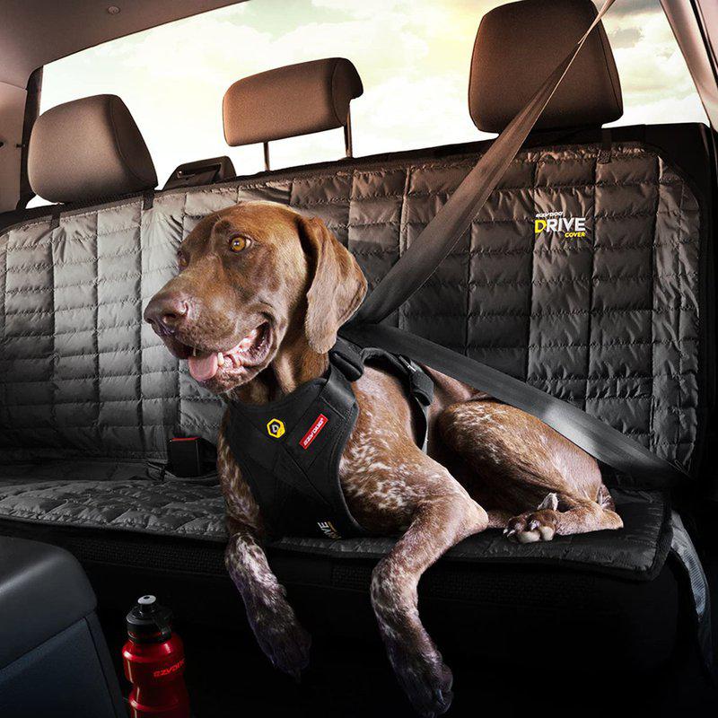 Ezydog Sele Drive Harness