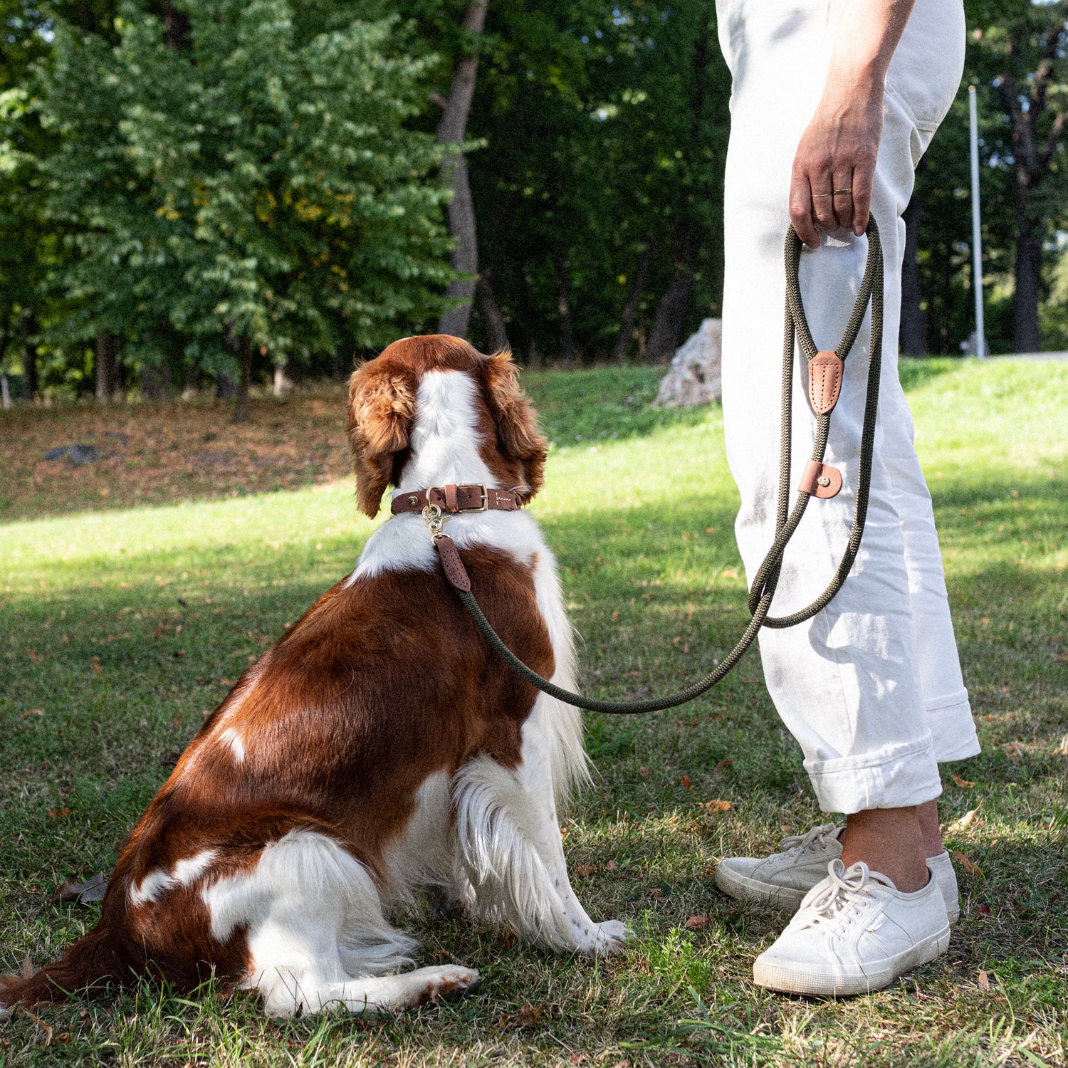 Denjo Dogs Hundkoppel Torekov