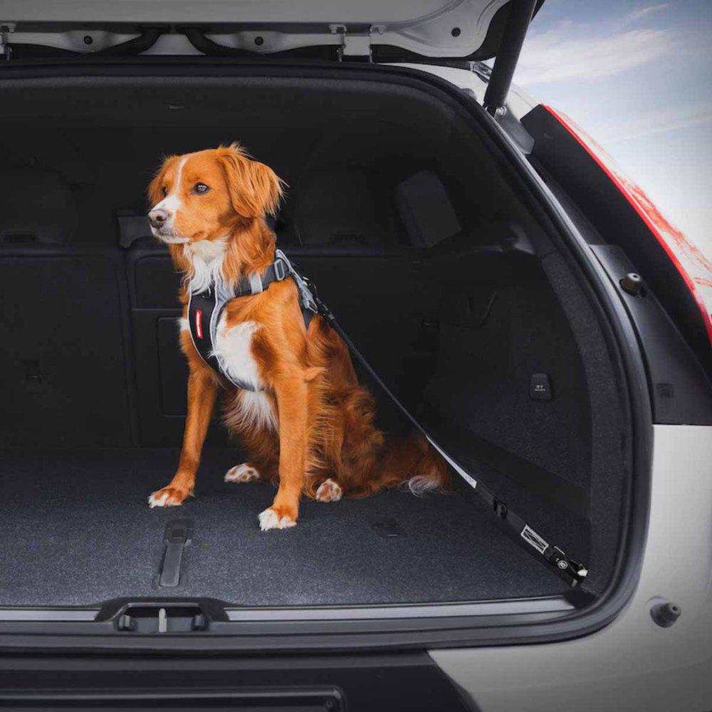 Ezydog Hundbälte Isofix