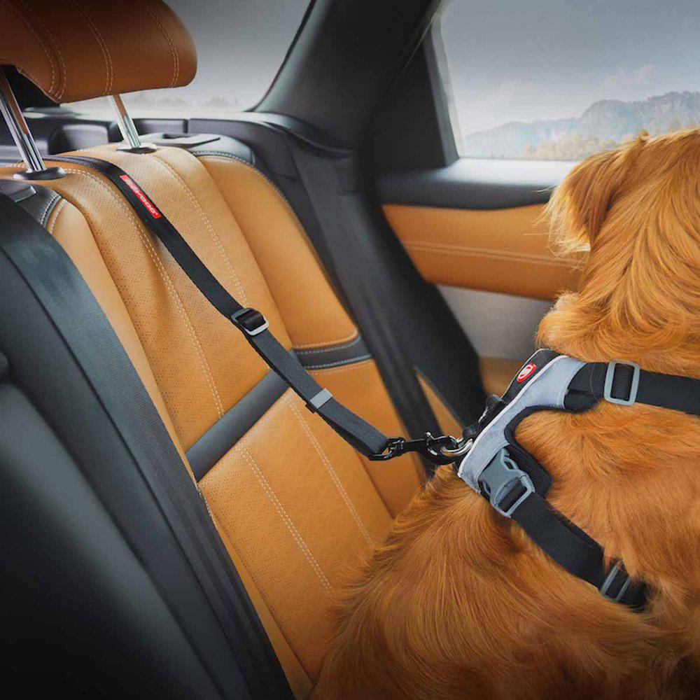 Ezydog Hundbälte Isofix