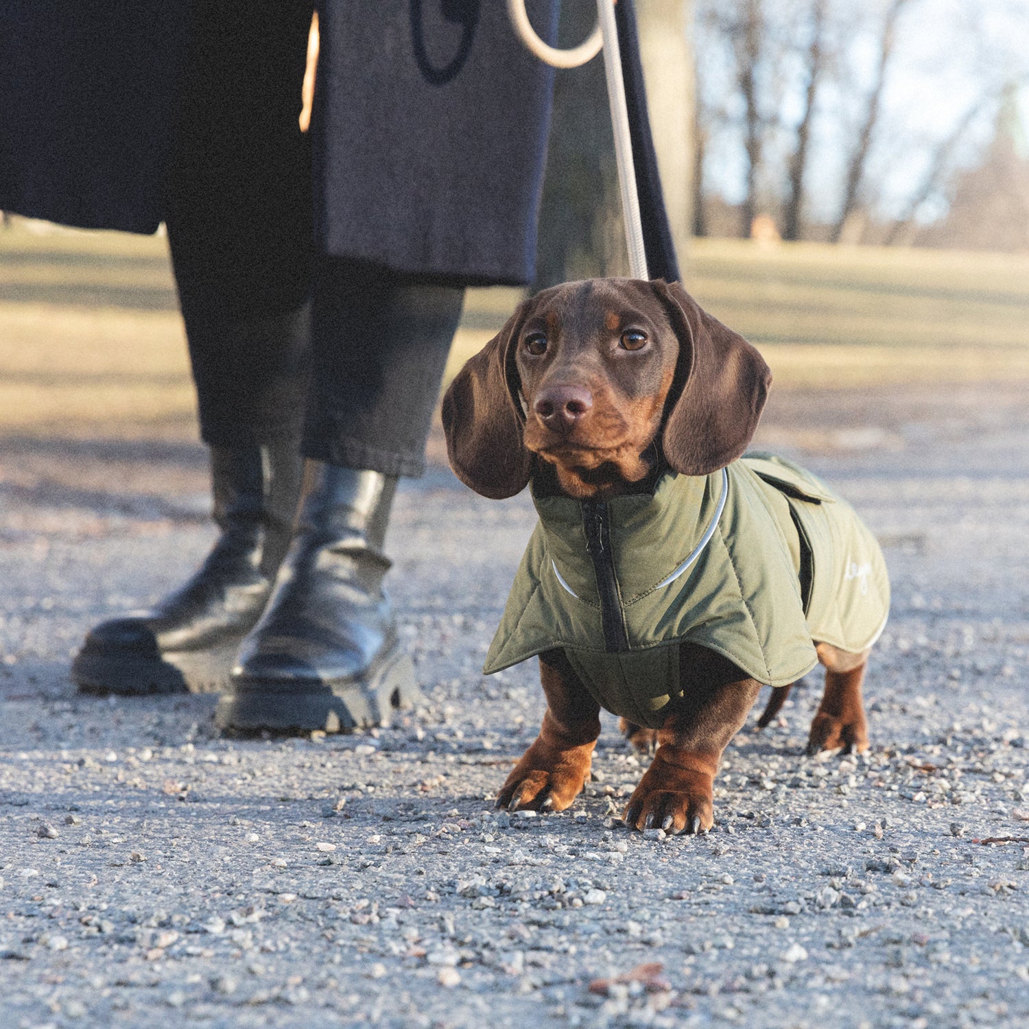 Denjo Dogs Hundtäcke Tax Wool Puffer Olive